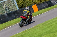 Oulton-Park-20th-March-2020;PJ-Motorsport-Photography-2020;anglesey;brands-hatch;cadwell-park;croft;donington-park;enduro-digital-images;event-digital-images;eventdigitalimages;mallory;no-limits;oulton-park;peter-wileman-photography;racing-digital-images;silverstone;snetterton;trackday-digital-images;trackday-photos;vmcc-banbury-run;welsh-2-day-enduro